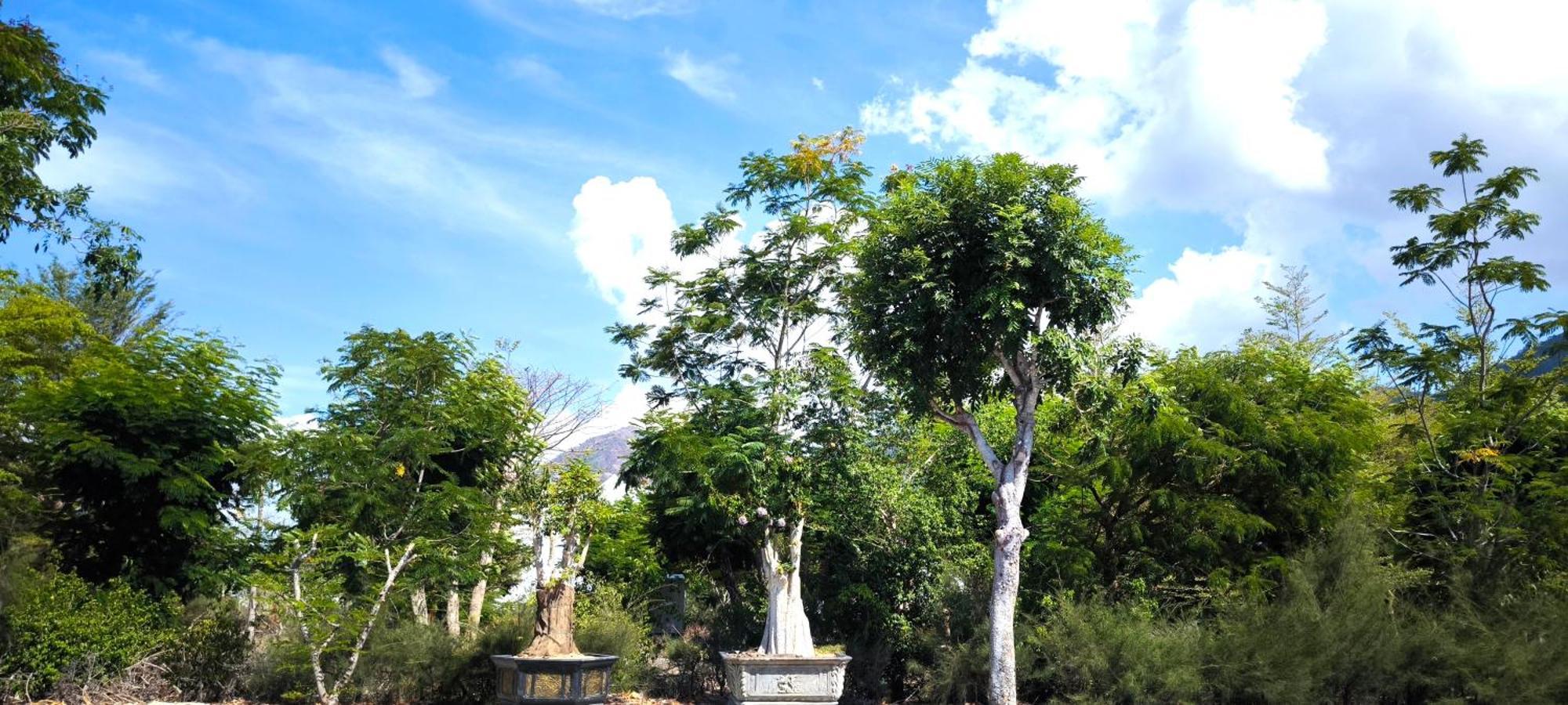 Cobi'S Home Cam Lam Dış mekan fotoğraf